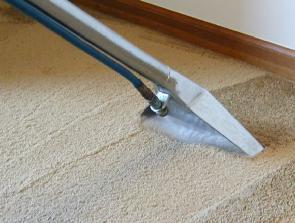 Tanin Carpet Cleaning
