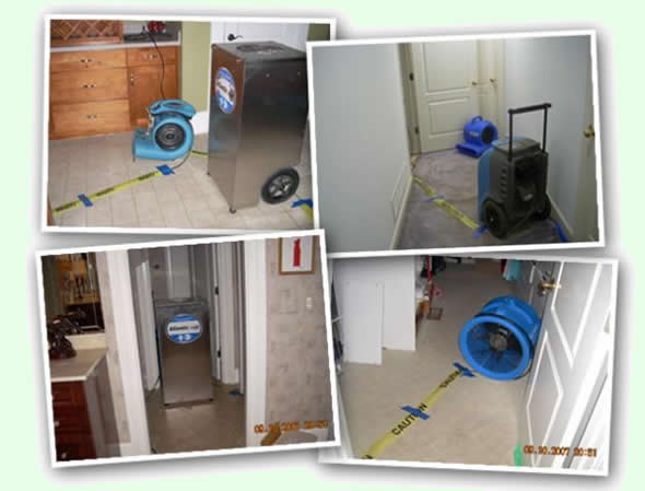 Tanin Water Damage Tanin Flooded Basement Cleanup